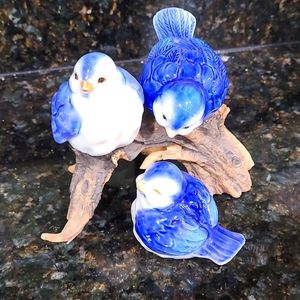 Blue Bird  Family